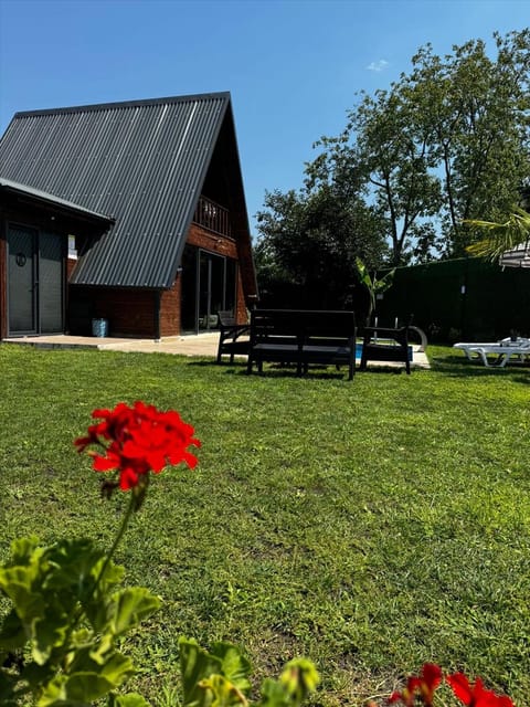 listing card gallery