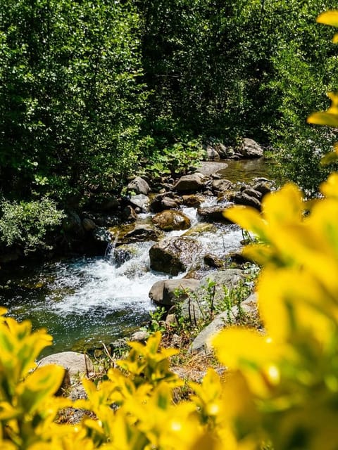 listing card gallery